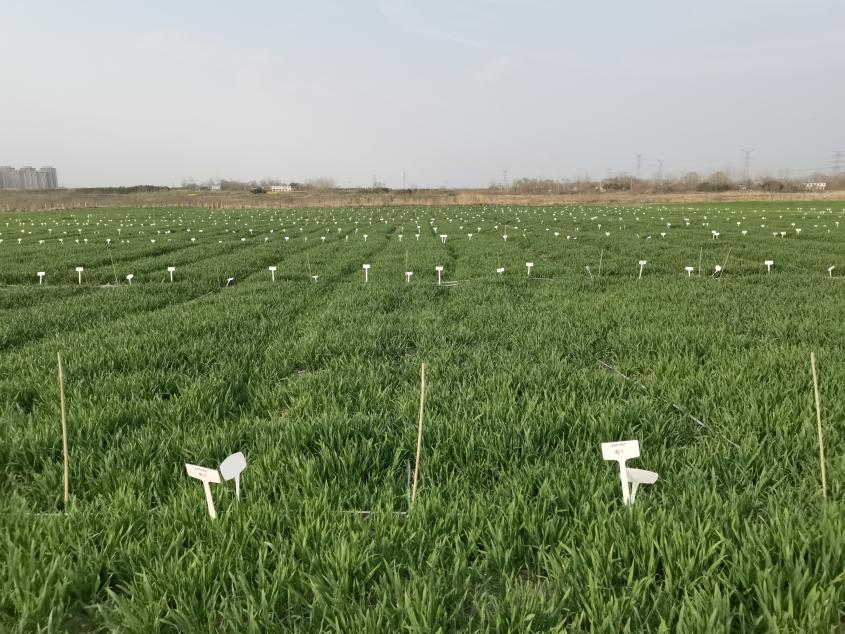 意昂娱乐(中国)体育有限公司官网