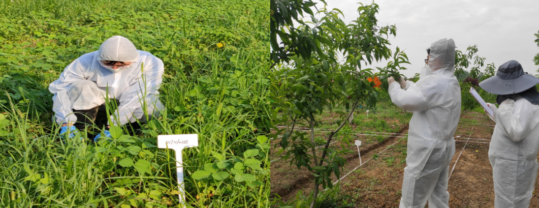 意昂娱乐(中国)体育有限公司官网