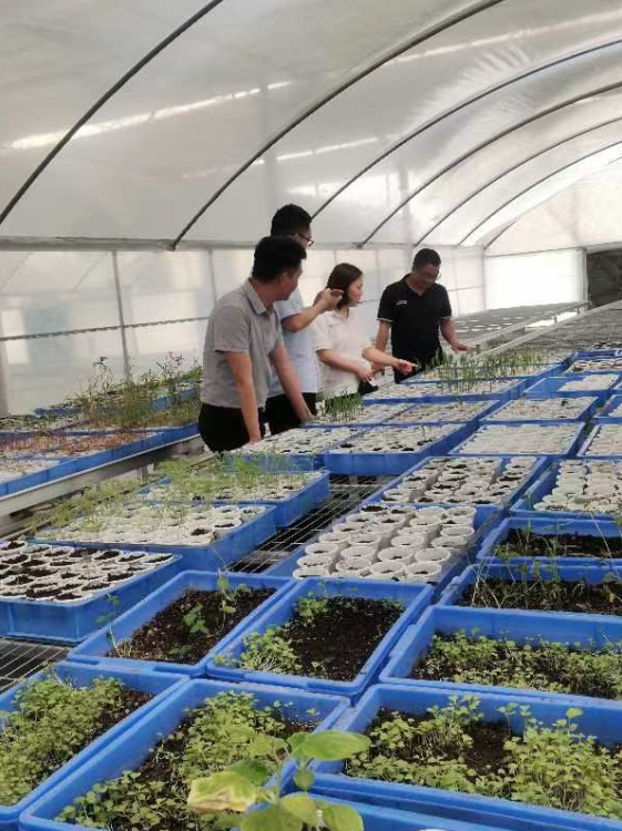 意昂娱乐(中国)体育有限公司官网