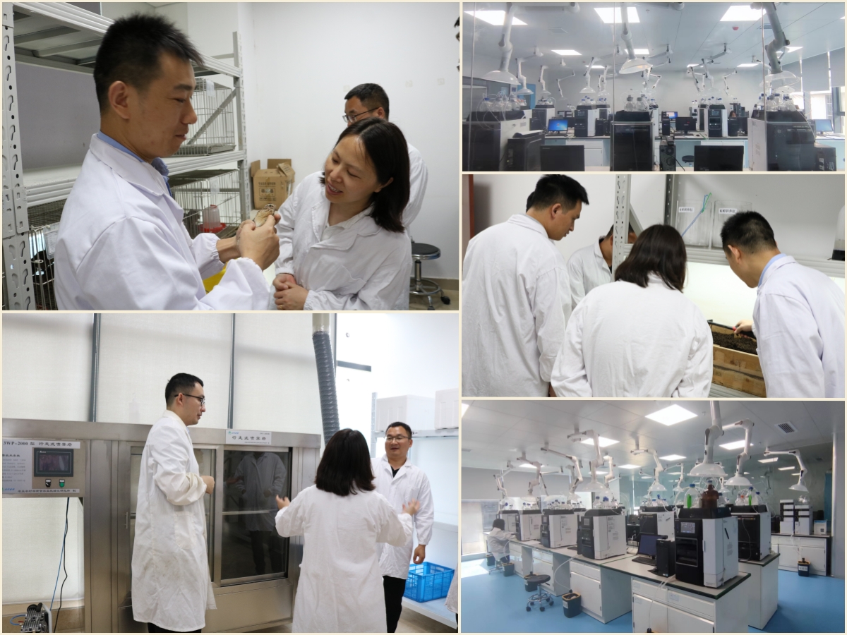 意昂娱乐(中国)体育有限公司官网