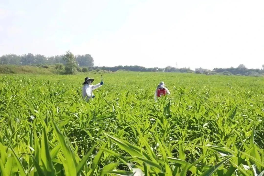 意昂娱乐(中国)体育有限公司官网