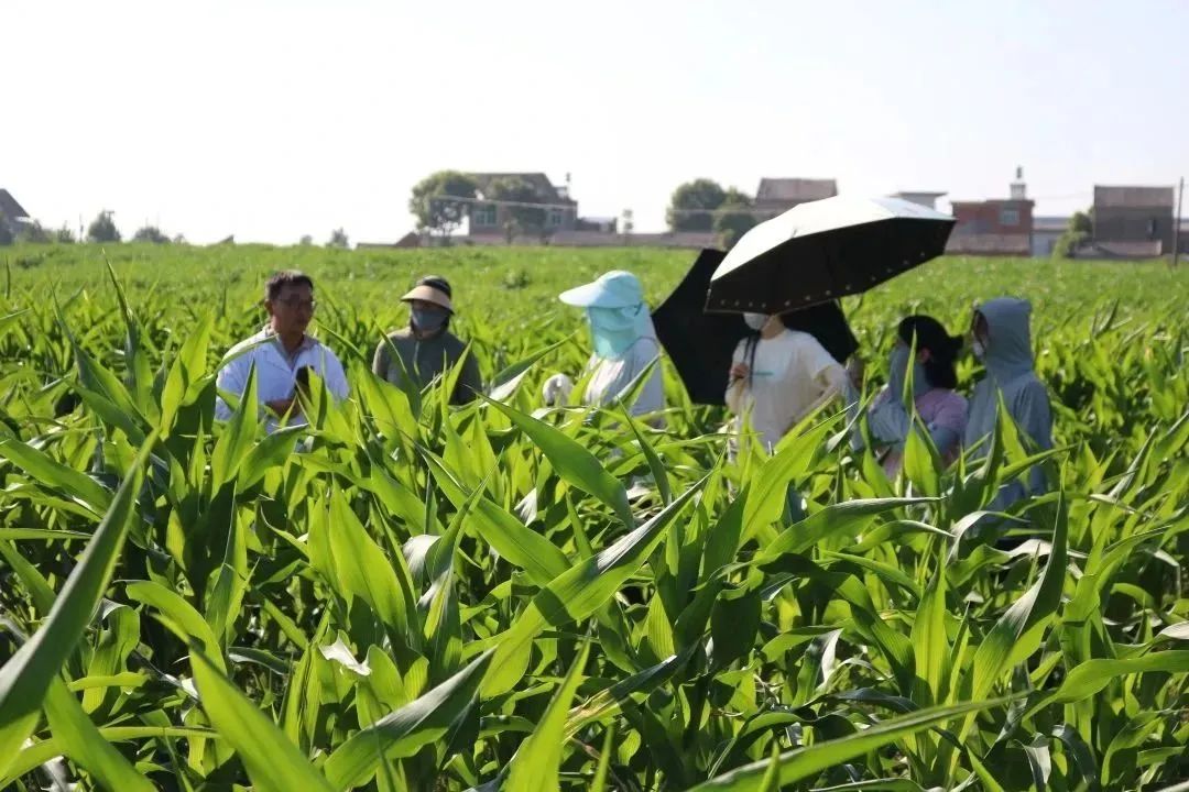 意昂娱乐(中国)体育有限公司官网