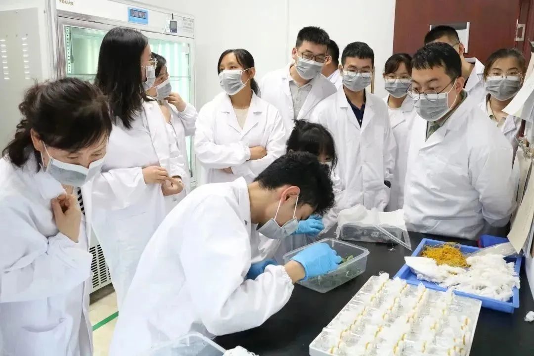 意昂娱乐(中国)体育有限公司官网