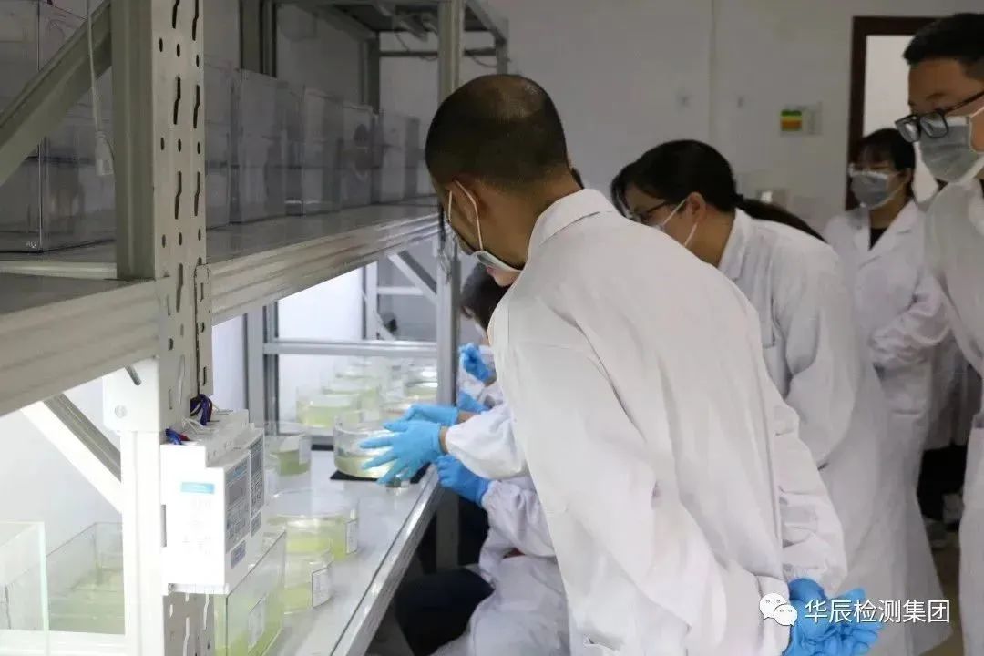 意昂娱乐(中国)体育有限公司官网